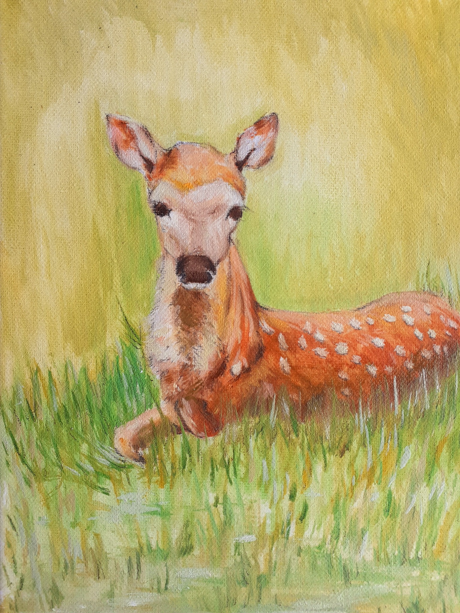 Akwarelowy portret leżącego sarny w trawie na tle żółtej łąki, malowany delikatnymi pociągnięciami pędzla.