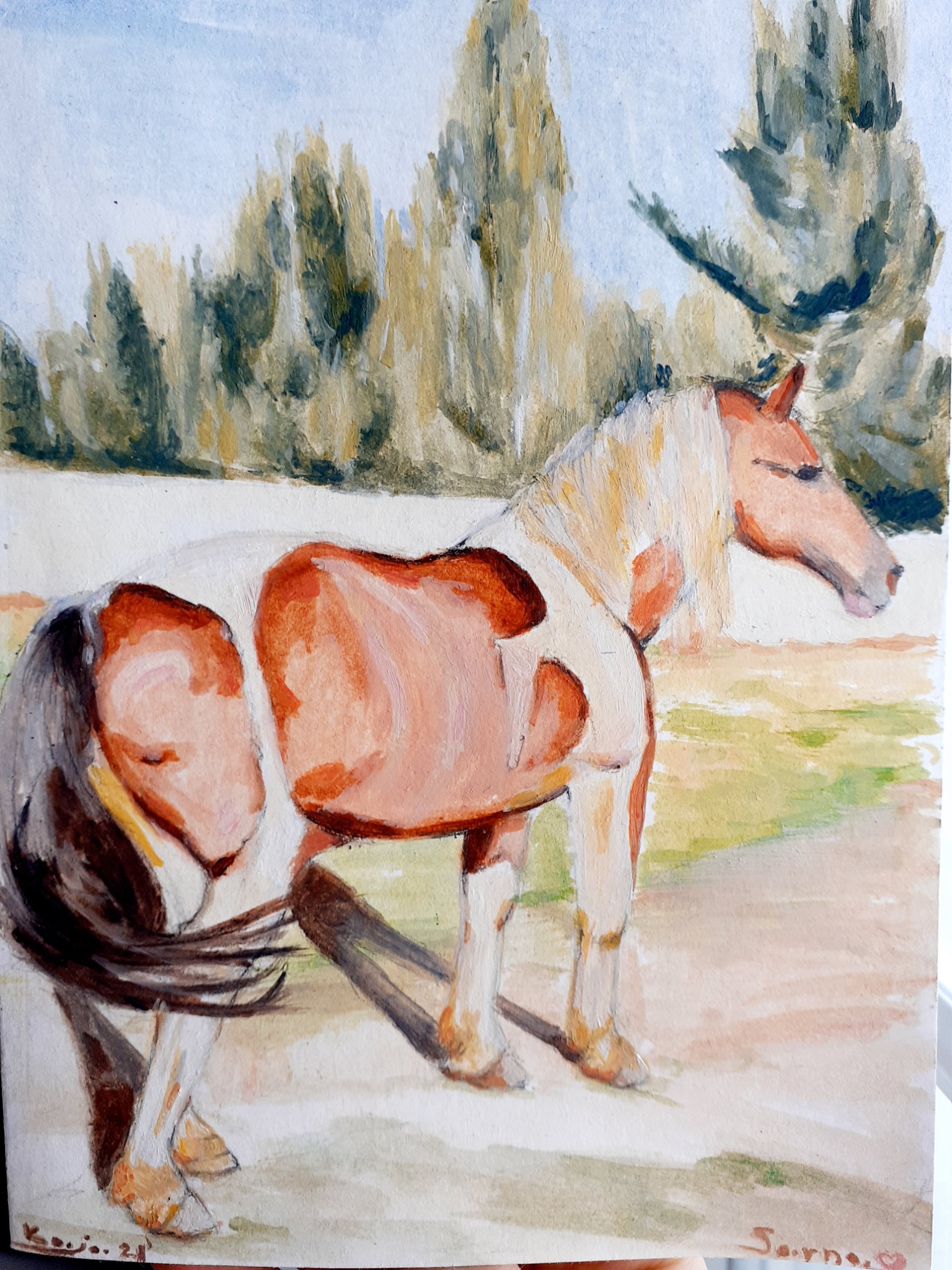 Akwarela przedstawiająca stojącego konia rasy Pinto na tle drzew i błękitnego nieba, z widocznymi pociągnięciami pędzla i sygnaturą artysty w prawym dolnym rogu.