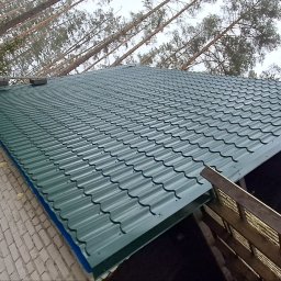 May bud - Nowy, zielony dach z blachy trapezowej na tle lasu iglastego. Widoczna drabina oparta o budynek. Ujęcie z dołu, podkreślające strukturę pokrycia.