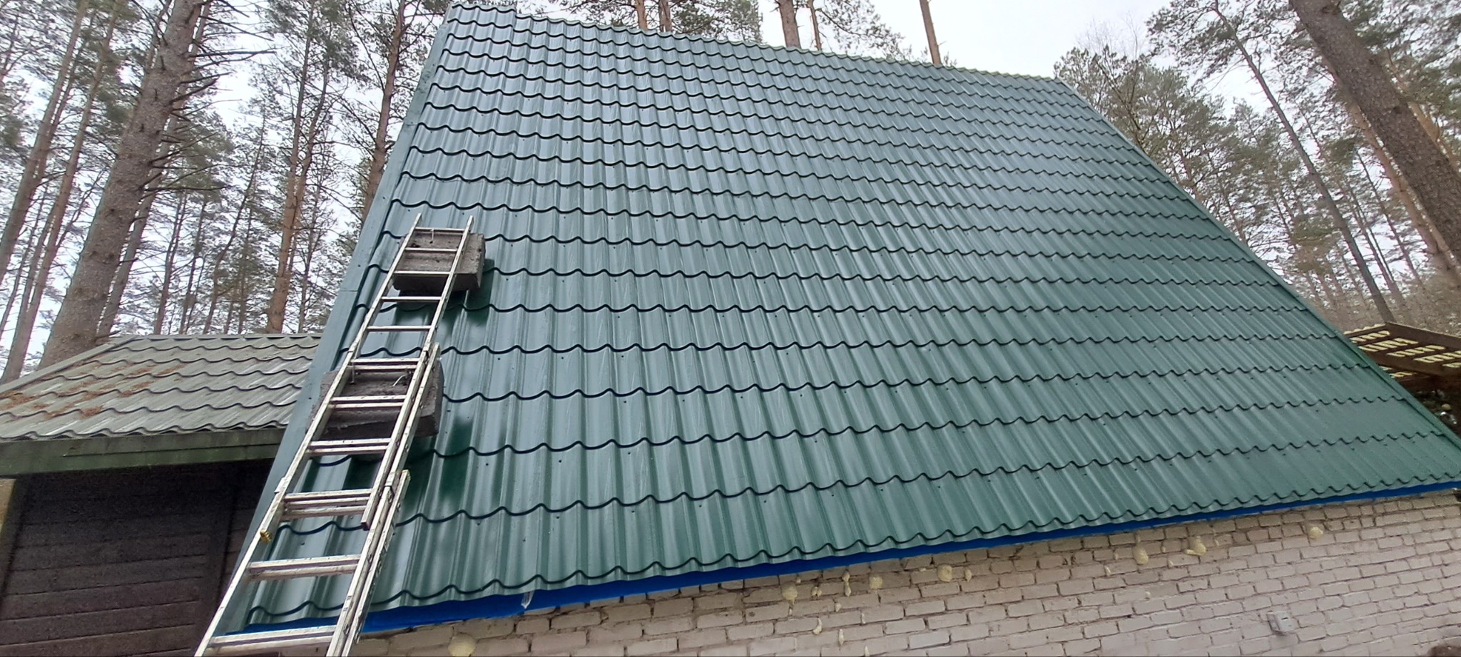 Zielony dach z blachy trapezowej, widoczna drabina oparta o ścianę budynku. W tle drzewa iglaste i fragment dachu innego budynku.