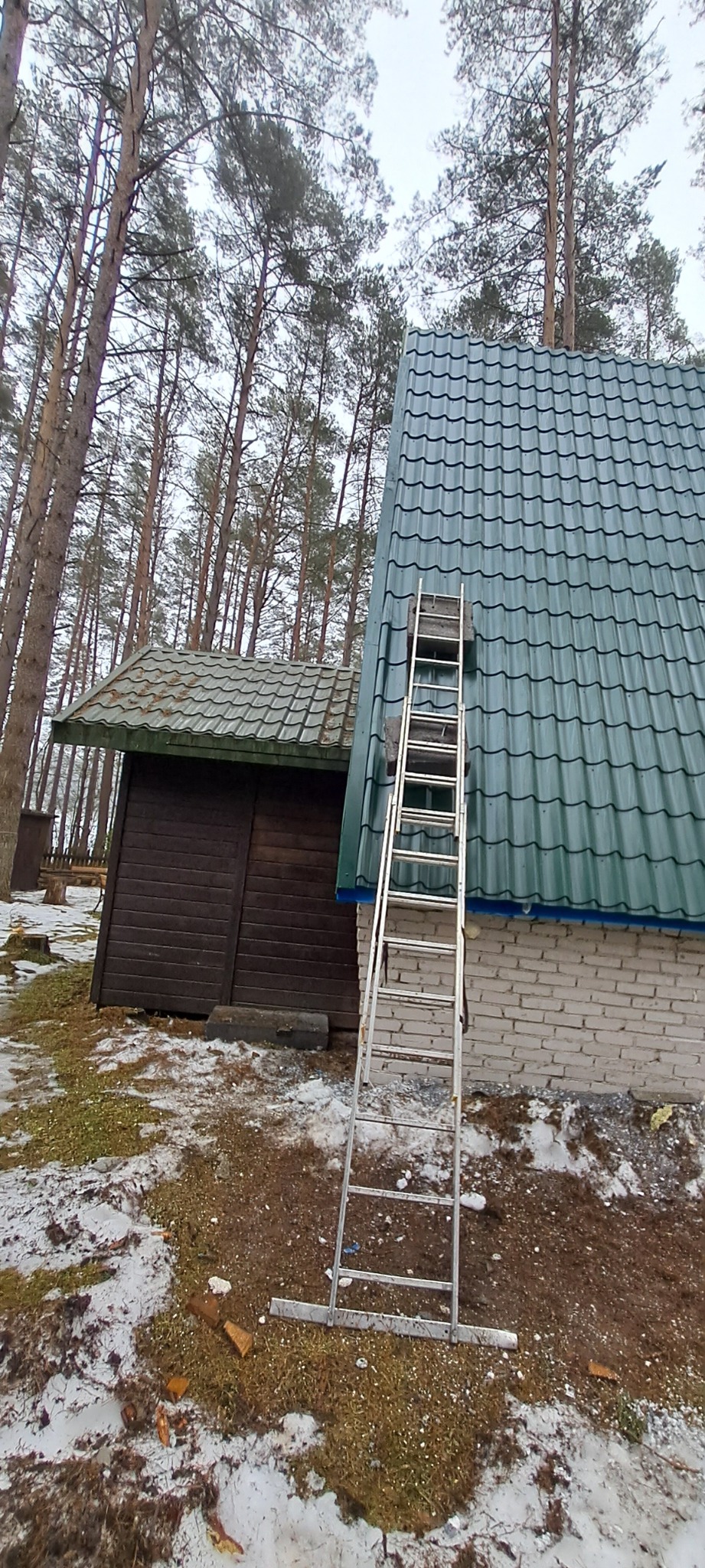 Zielony dach z blachy trapezowej na tle lasu iglastego. Aluminiowa drabina oparta o ścianę budynku. Fragmenty śniegu na ziemi. Widok z dołu.