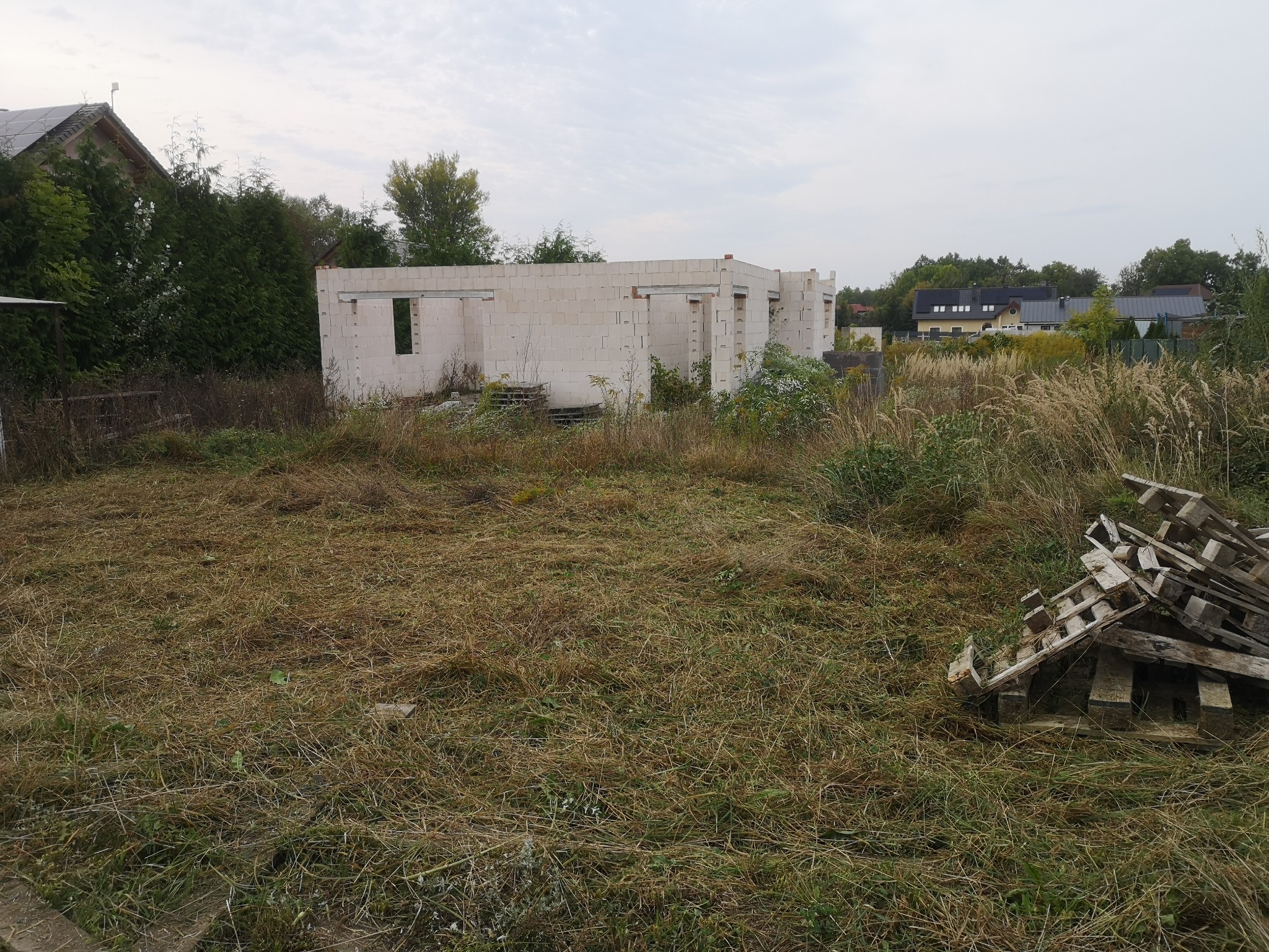 Niedokończona konstrukcja domu z białych bloczków na zarośniętej działce, widoczne palety i wysoka trawa.
