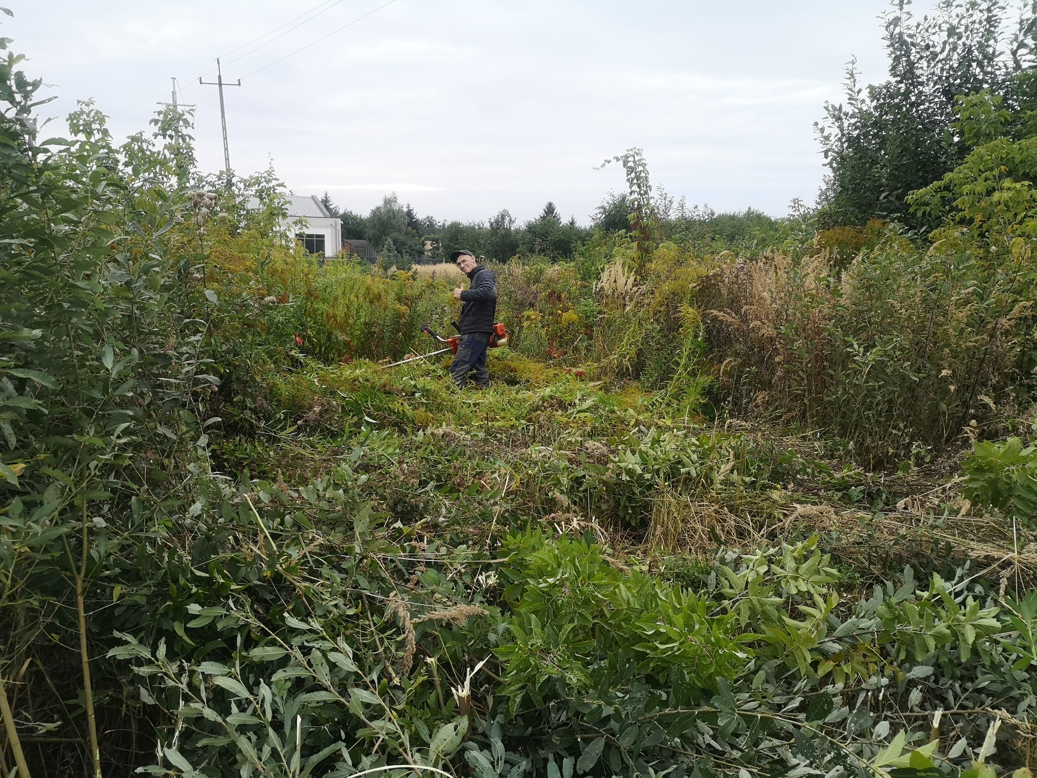 Wykaszanie łąk i pul, działek pod budowę