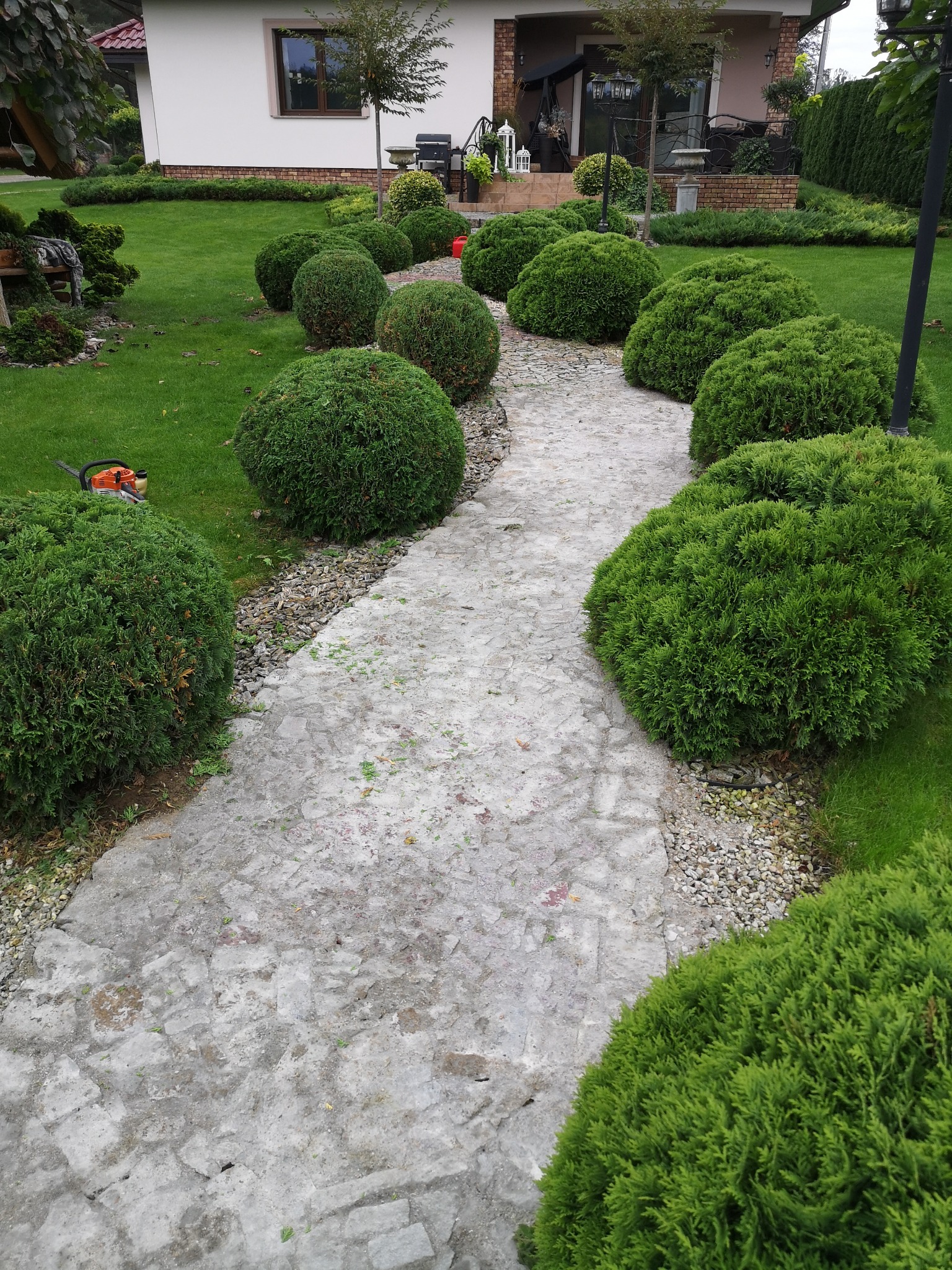 Ścieżka z nieregularnych kamieni prowadząca przez ogród z równo przystrzyżonymi, kulistymi krzewami; na trawniku leży pomarańczowa pilarka spalinowa.