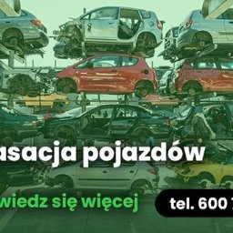 kasacja pojazdów stalowa wola

zadzwoń: 600 703 600
www.phulesta.pl
