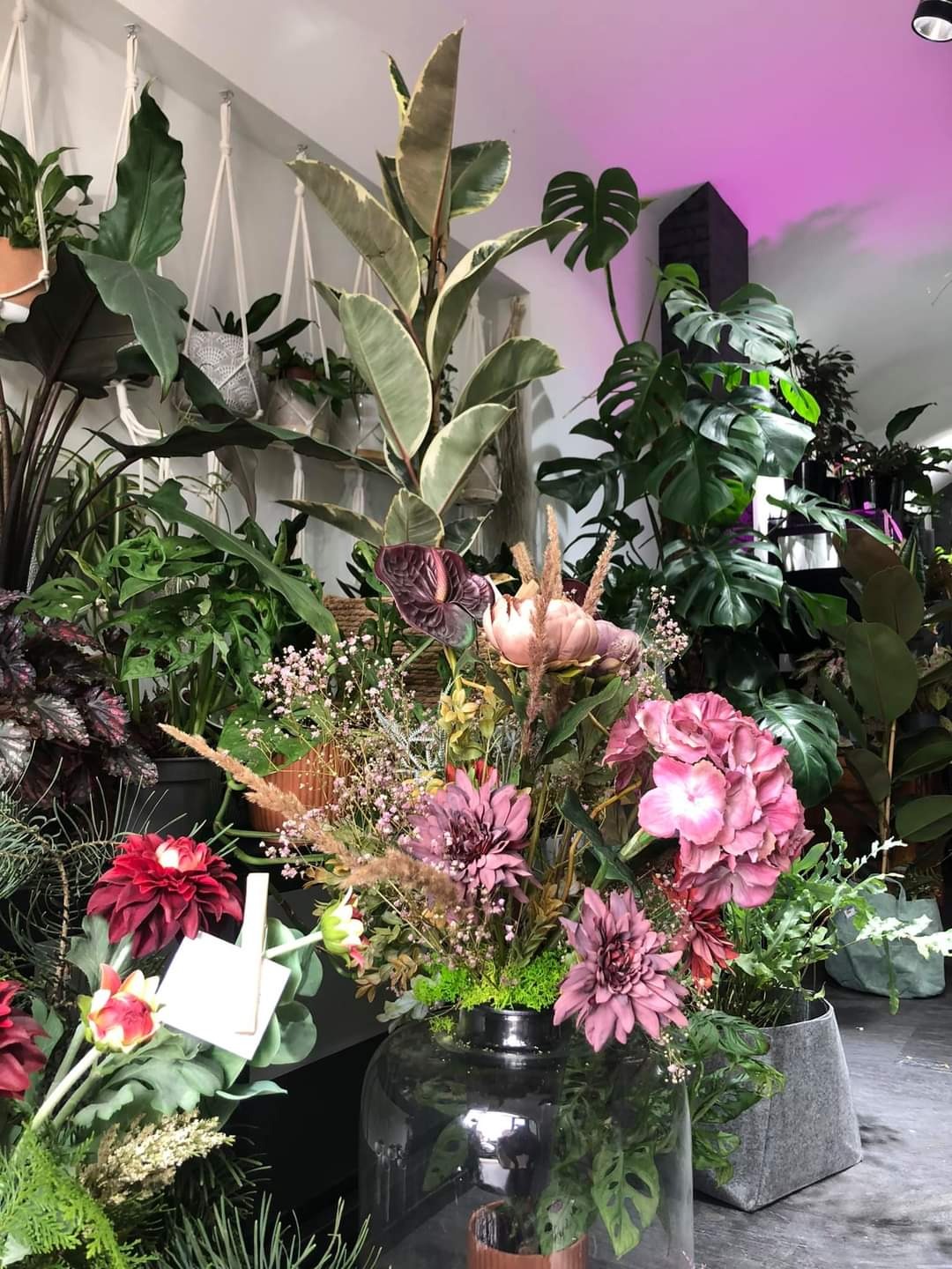 Kompozycja kwiatowa w szklanym wazonie na tle ściany z roślinami doniczkowymi, podświetlona fioletowym światłem.