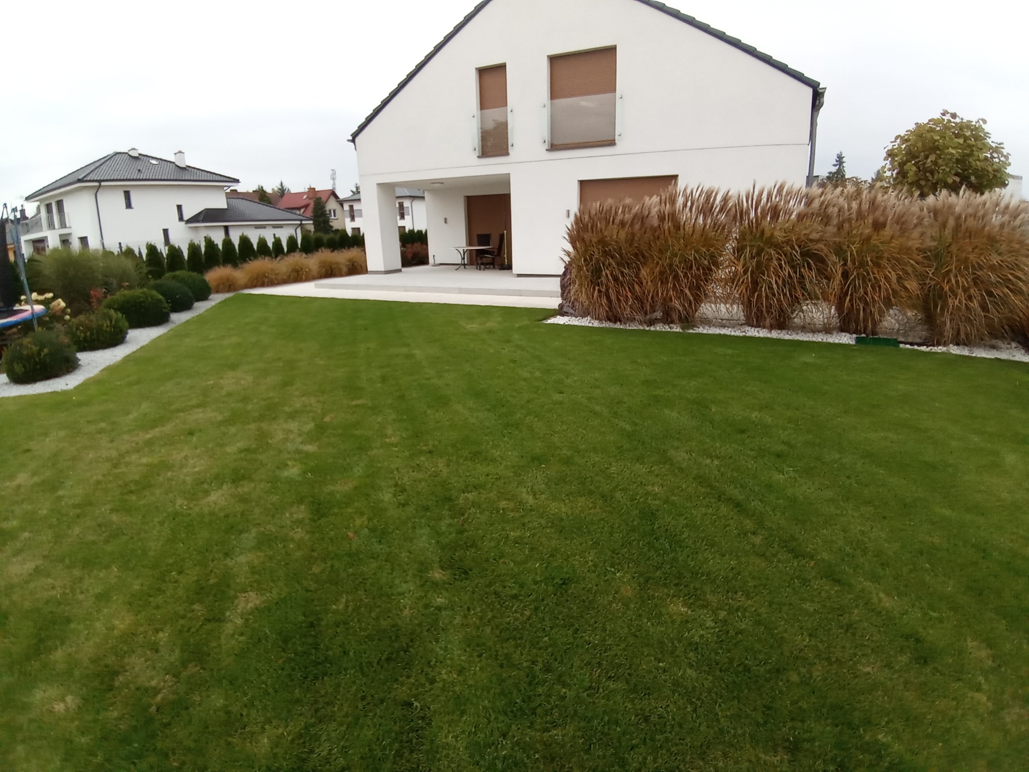 Rozległy, intensywnie zielony trawnik przed nowoczesnym domem z białymi ścianami i elementami z jasnego drewna, ozdobiony rzędami ozdobnych traw pampasowych i białym kamieniem, z widocznymi...