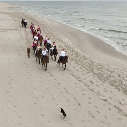 Mateusz Alfut - Konie i jeźdźcy w białych koszulach i różowych szarfach na plaży w Gdańsku. Ujęcie z lotu ptaka, w tle morze i dwa psy.