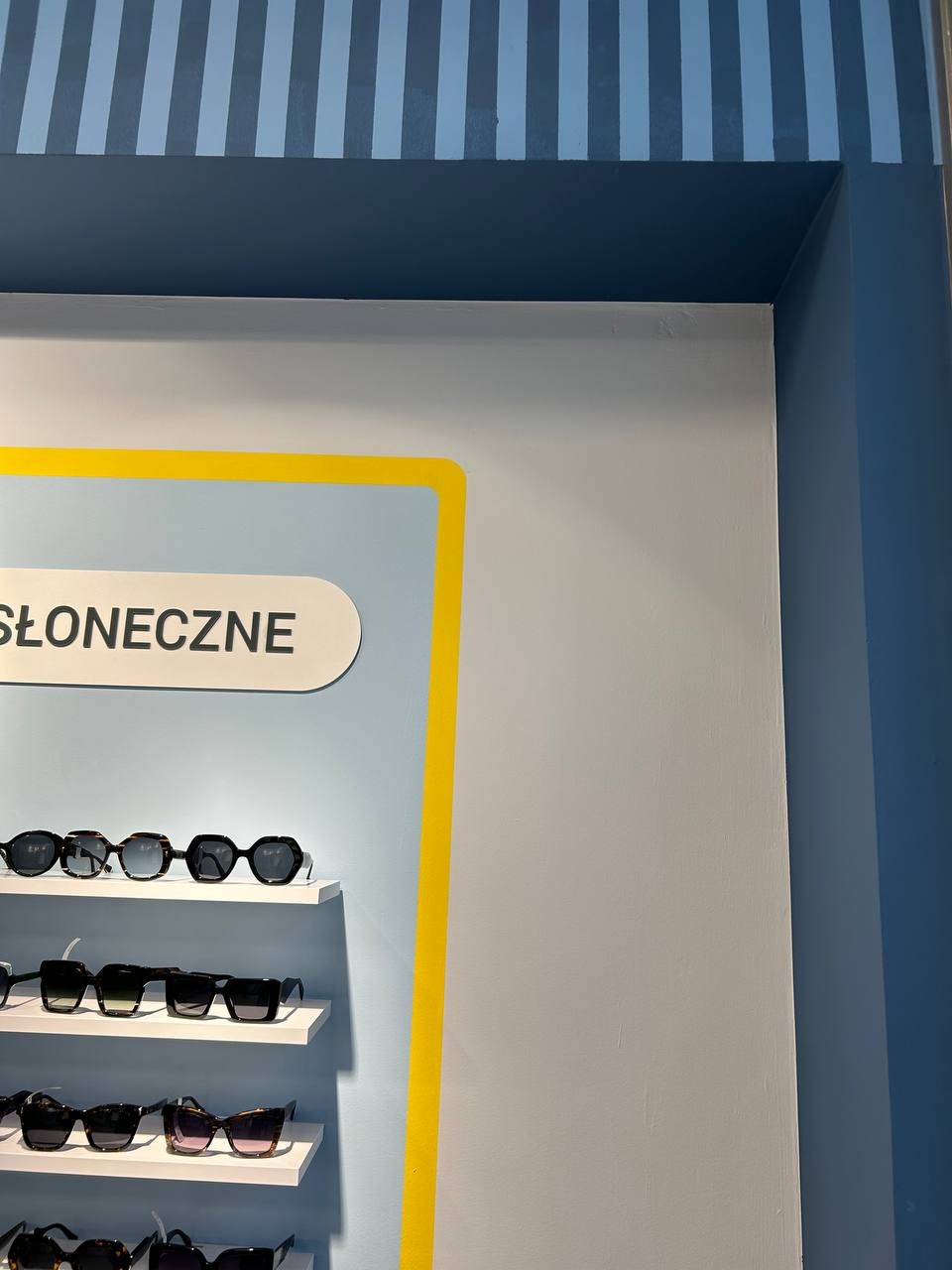 Półki z okularami przeciwsłonecznymi na tle błękitnej ściany z żółtą obwódką i dekoracyjnym, niebieskim pasem na górze. Ekspozycja w sklepie optycznym.
