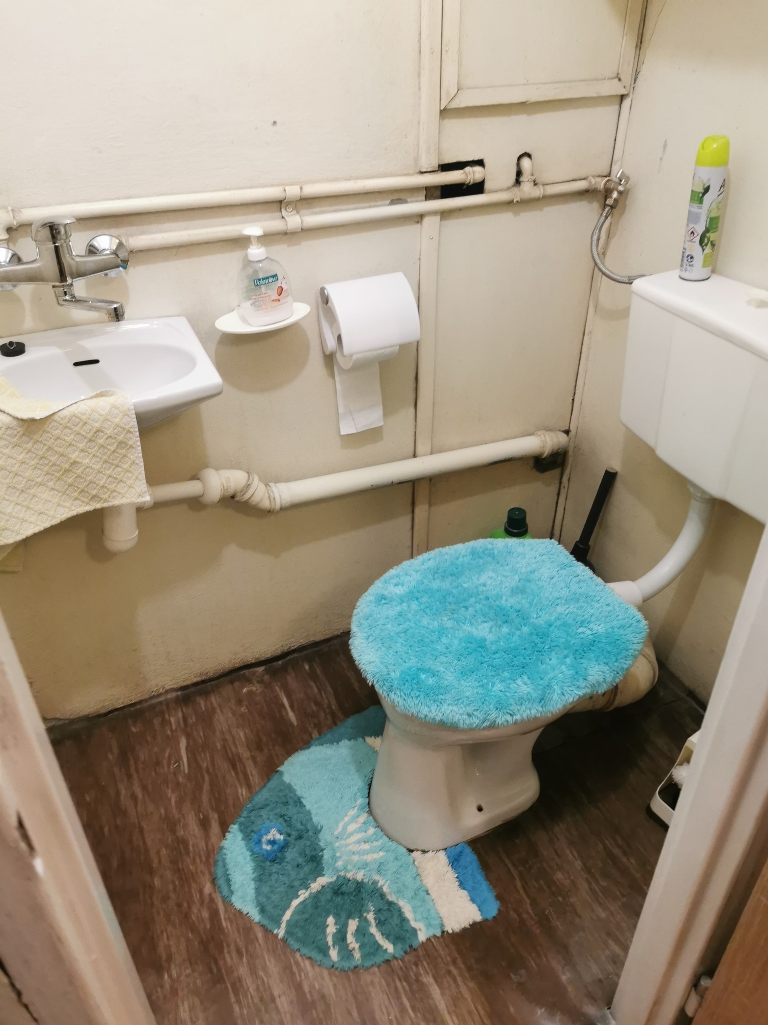 Małe WC przed Renowacją