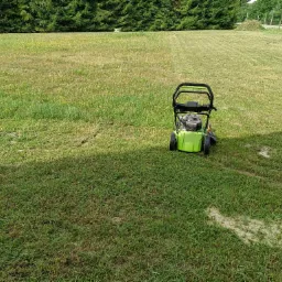 Zielona kosiarka elektryczna na trawniku, widoczna różnica w wysokości trawy po koszeniu, w tle drzewa iglaste.