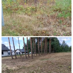Oczyszczanie działki. Przygotowanie terenu pod trawnik i w efekcie klimatu leśniczówki. 