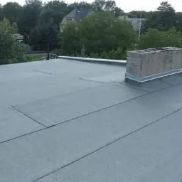 Płaski dach pokryty papą termozgrzewalną z widocznym kominem obłożonym blachą i obróbką blacharską na krawędzi dachu, w tle zieleń drzew.