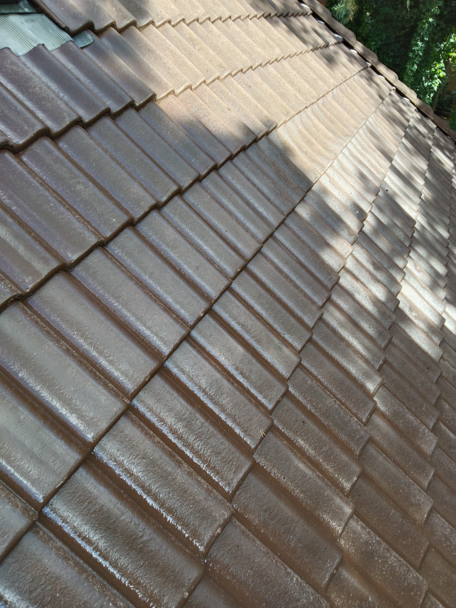 Ciemnobrązowa dachówka ceramiczna na dachu domu w Poznaniu, częściowo zacieniona przez drzewa, widoczna faktura i połysk nowej powłoki.