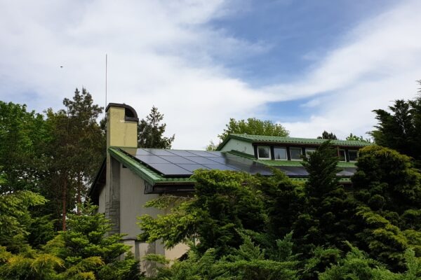 Panele słoneczne na zielonym dachu domu jednorodzinnego, częściowo zasłonięte przez gęste krzewy i drzewa, widoczny komin i maszt odgromowy.