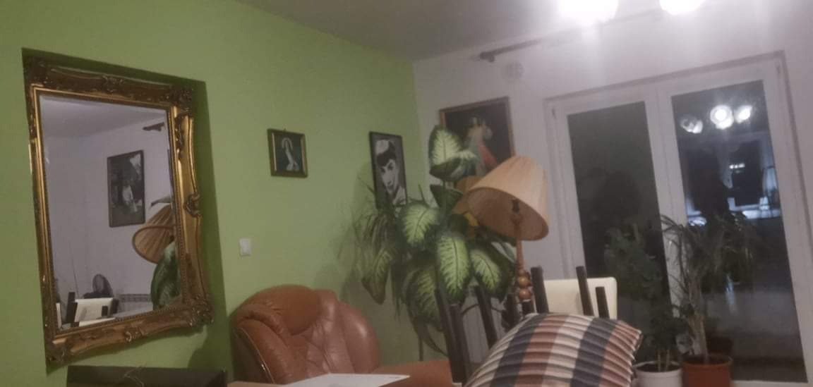 Salon z zielonymi ścianami, dużym lustrem w złotej ramie, brązowym skórzanym fotelem i roślinami doniczkowymi, oświetlony lampą ze stożkowym abażurem