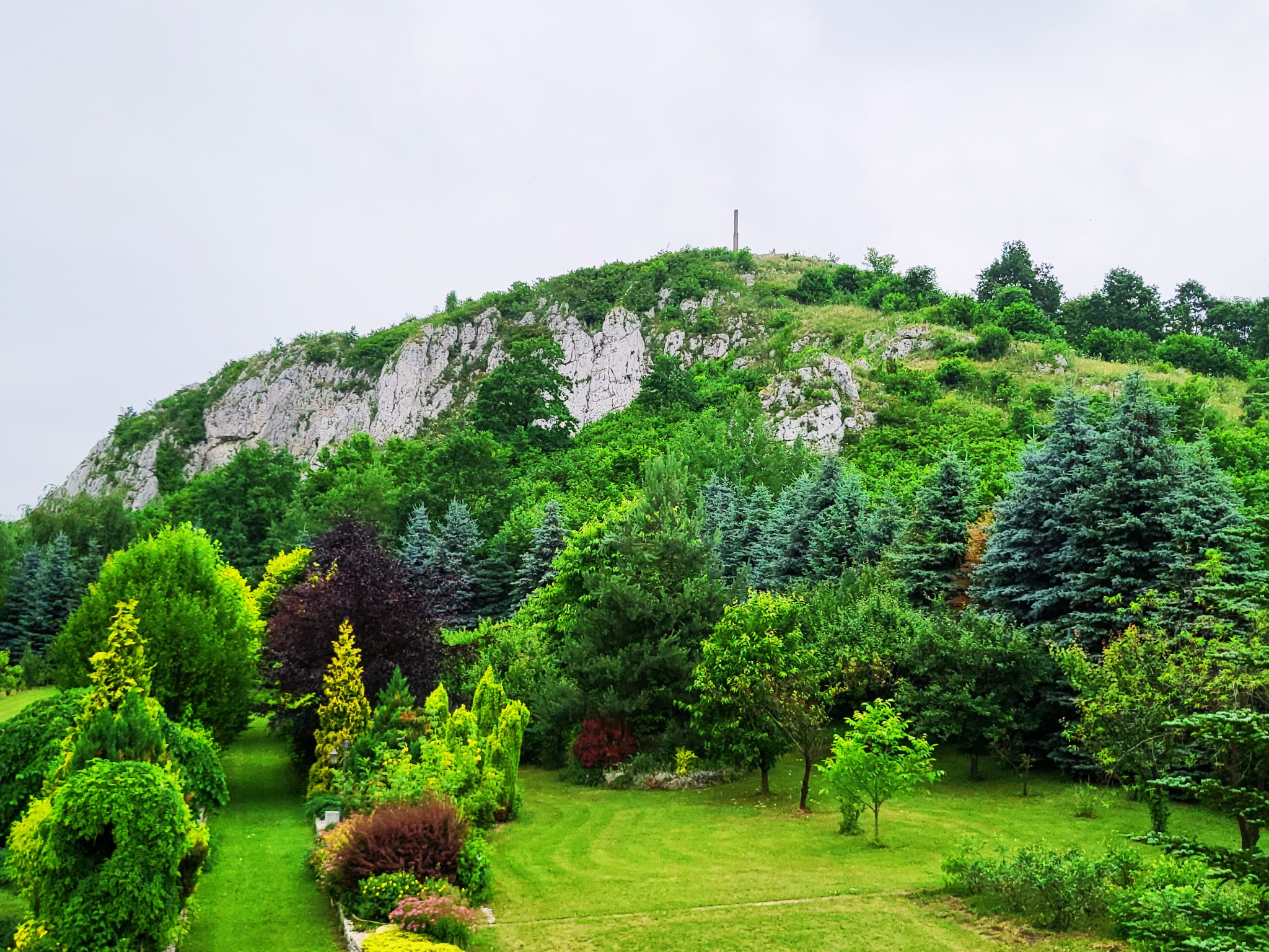 Krajobraz z zielonym ogrodem, różnorodnymi drzewami iglastymi i liściastymi oraz wapiennym wzgórzem z monumentem na szczycie pod pochmurnym niebem.