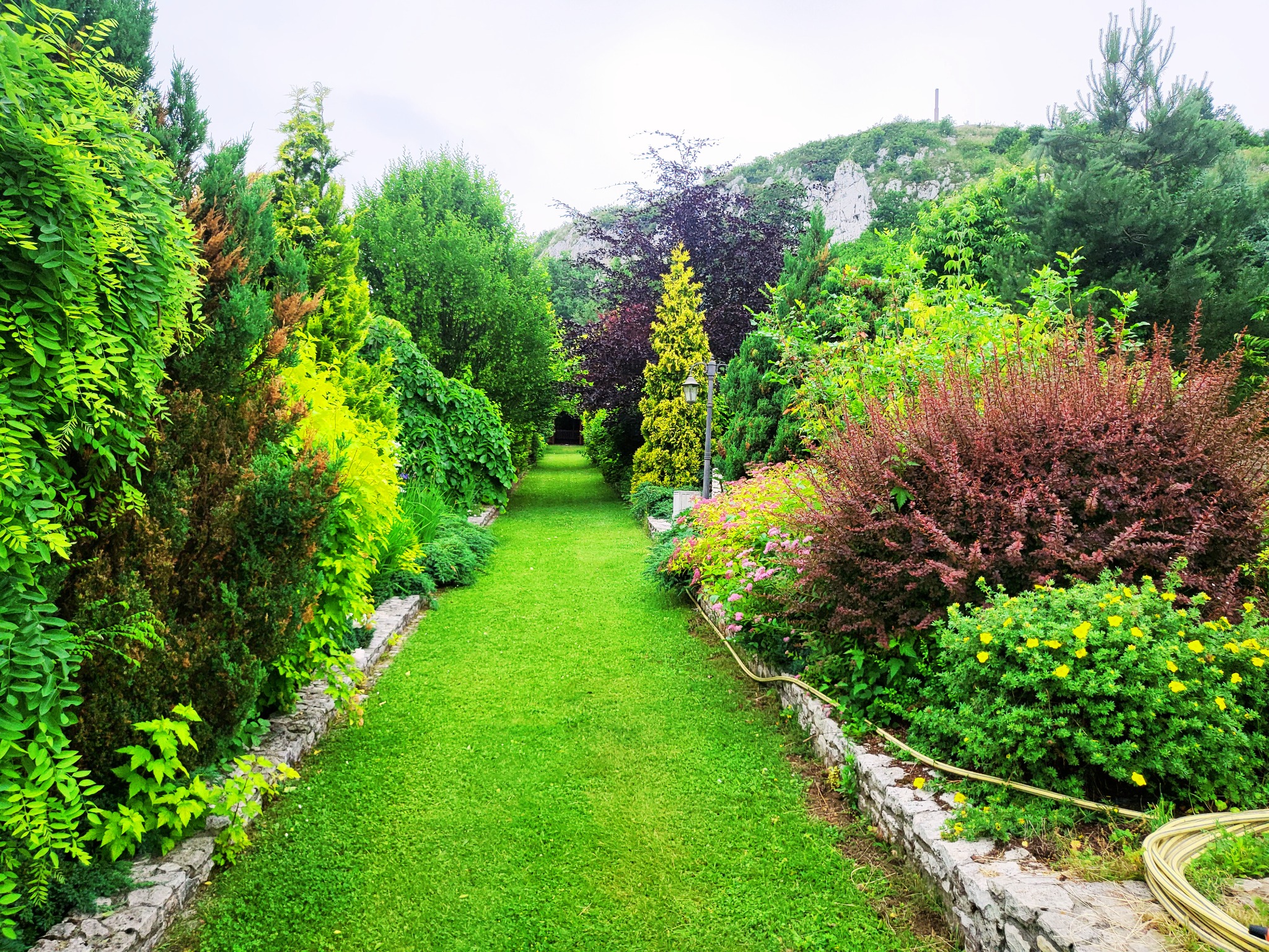 Długa, zielona ścieżka trawnikowa otoczona różnorodną roślinnością, w tym krzewami kwitnącymi na różowo i żółto, prowadząca w kierunku wzgórza z widocznymi skałami.