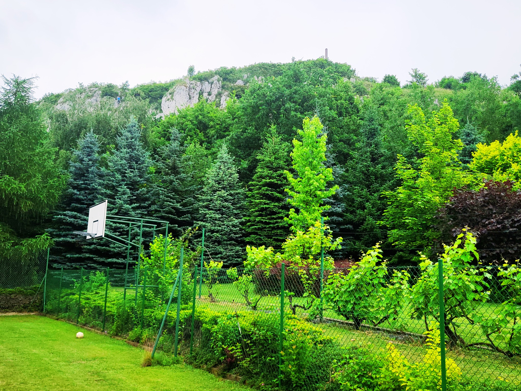 Zielony ogród z widokiem na zalesione wzgórze i skały, z koszem do koszykówki i piłką na trawniku.