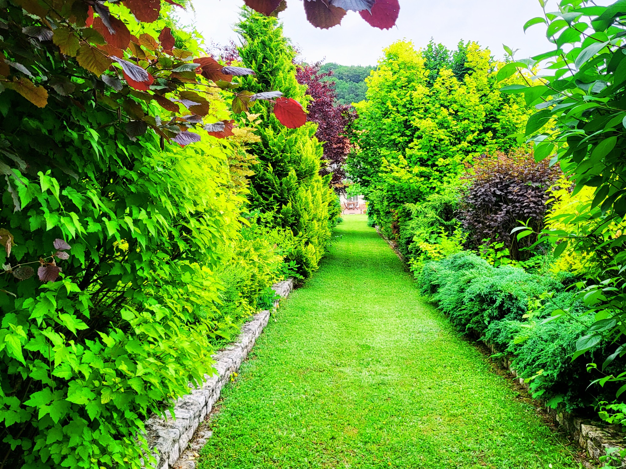 Ujęcie z perspektywy alei w ogrodzie, z równo przystrzyżonym trawnikiem i różnorodnymi krzewami oraz drzewami po obu stronach, tworzącymi zielony tunel.