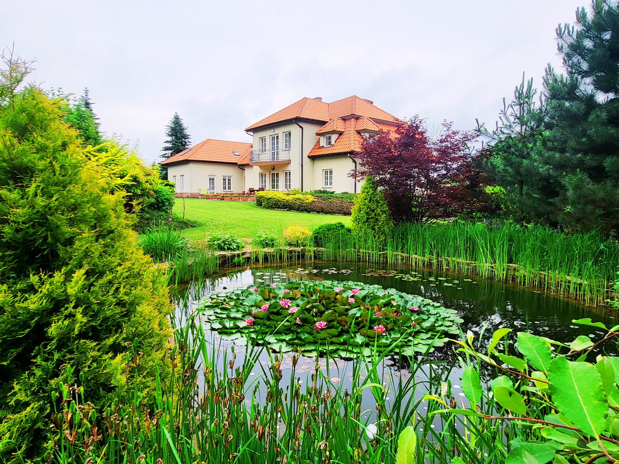 Rozległy dom z pomarańczowym dachem, otoczony bujną zielenią, z oczkiem wodnym z liliami wodnymi na pierwszym planie.