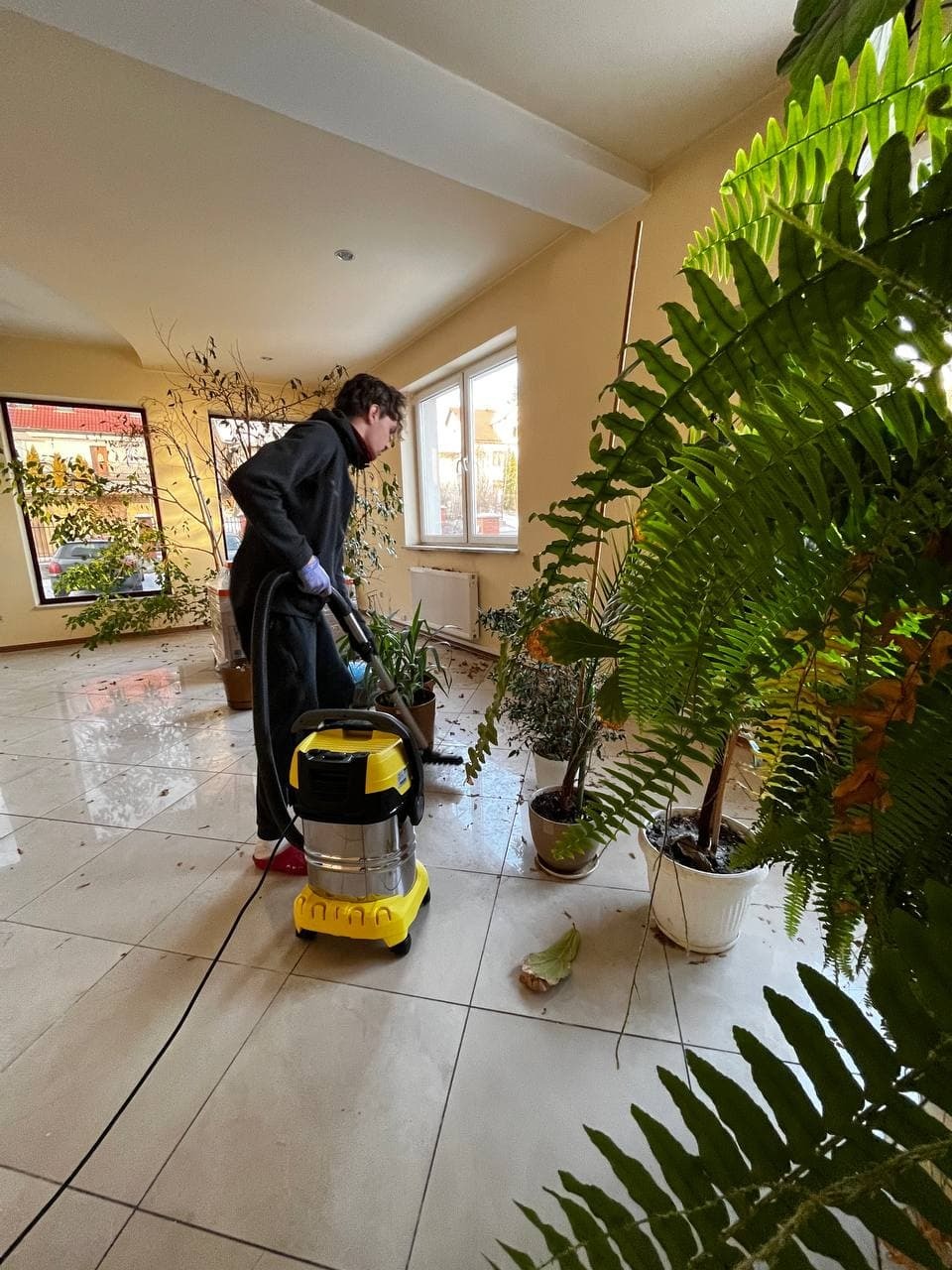 Mężczyzna w czarnej bluzie odkurza podłogę w pomieszczeniu z licznymi roślinami doniczkowymi, używając żółto-srebrnego odkurzacza przemysłowego.