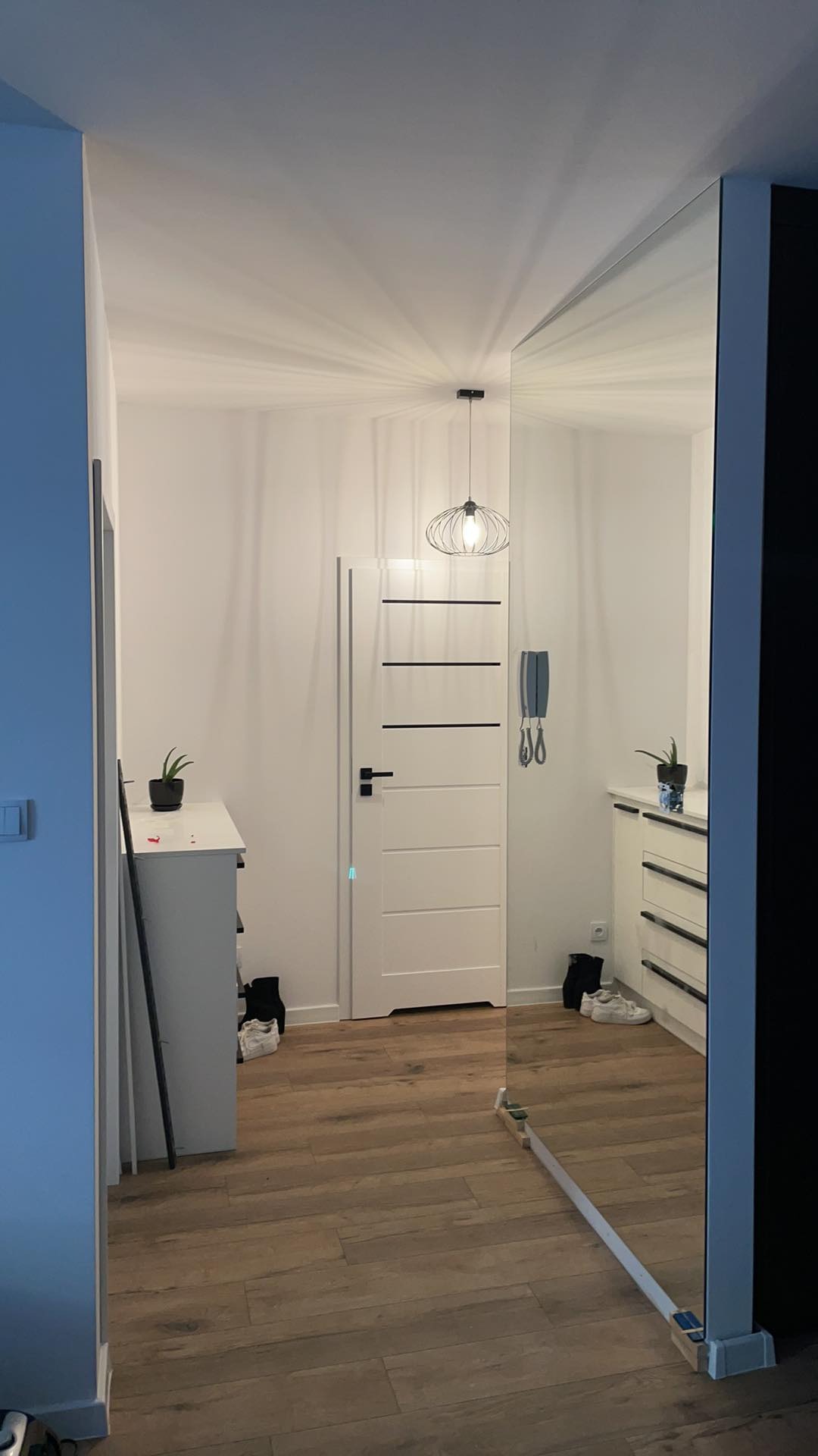 Jasne wnętrze przedpokoju w Warszawie z drewnianą podłogą, białą szafką z rośliną doniczkową, białą ścianą z minimalistyczną lampą i drzwiami oraz dużym lustrem na ścianie.