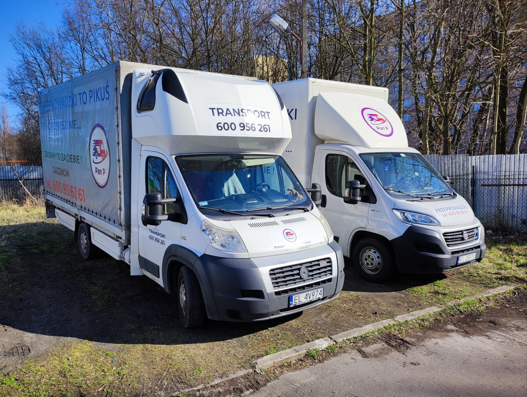 Dwa białe busy transportowe firmy Pan P zaparkowane obok siebie, z widocznymi numerami telefonów kontaktowych i logo firmy na nadwoziu, na tle drzew i budynku.