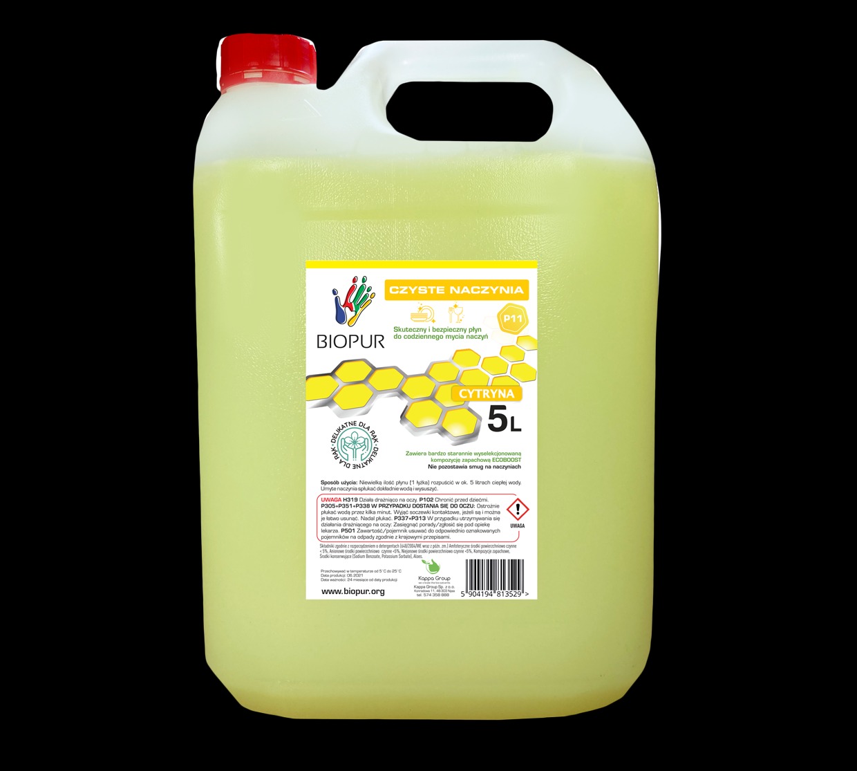 Kanister 5L z płynem do mycia naczyń o zapachu cytrynowym marki Biopur, przeznaczony do czyszczenia naczyń w Warszawie.
