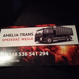 Amelia trans - Sprzedaż Ekogroszku Mikołów