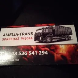 Wizytówka firmy Amelia-Trans z grafiką ciężarówki i informacją o sprzedaży opału, numerem telefonu i NIP-em na tle imitującym płomienie.