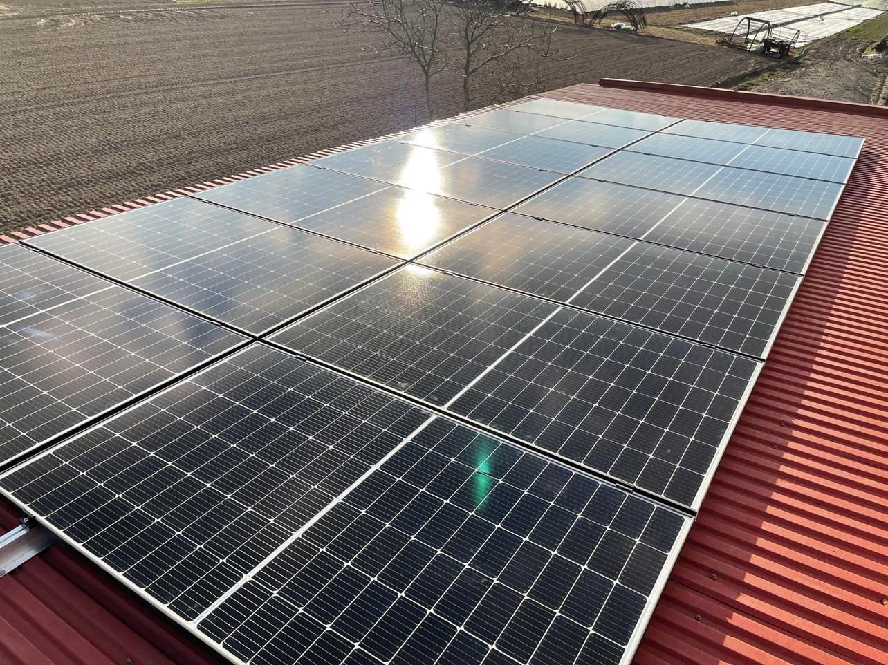 Panel słoneczny na czerwonym dachu z widocznym odbiciem słońca i zielonym odblaskiem, w tle pole uprawne i pojedyncze drzewo.