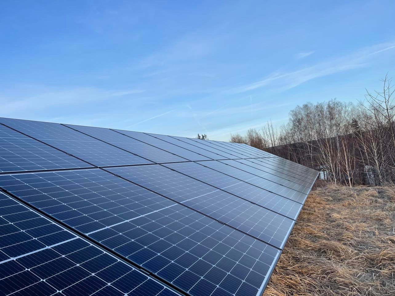 Rząd paneli słonecznych na tle błękitnego nieba z delikatnymi chmurami i drzewami bez liści w oddali, zamontowanych na ziemi pokrytej suchą trawą.