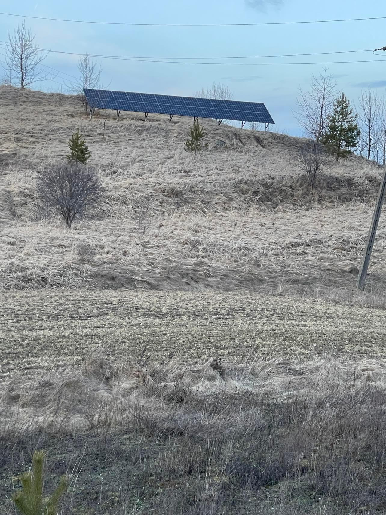 Rząd paneli słonecznych na wzgórzu porośniętym suchą trawą i kilkoma młodymi drzewami, widoczne słupy energetyczne.