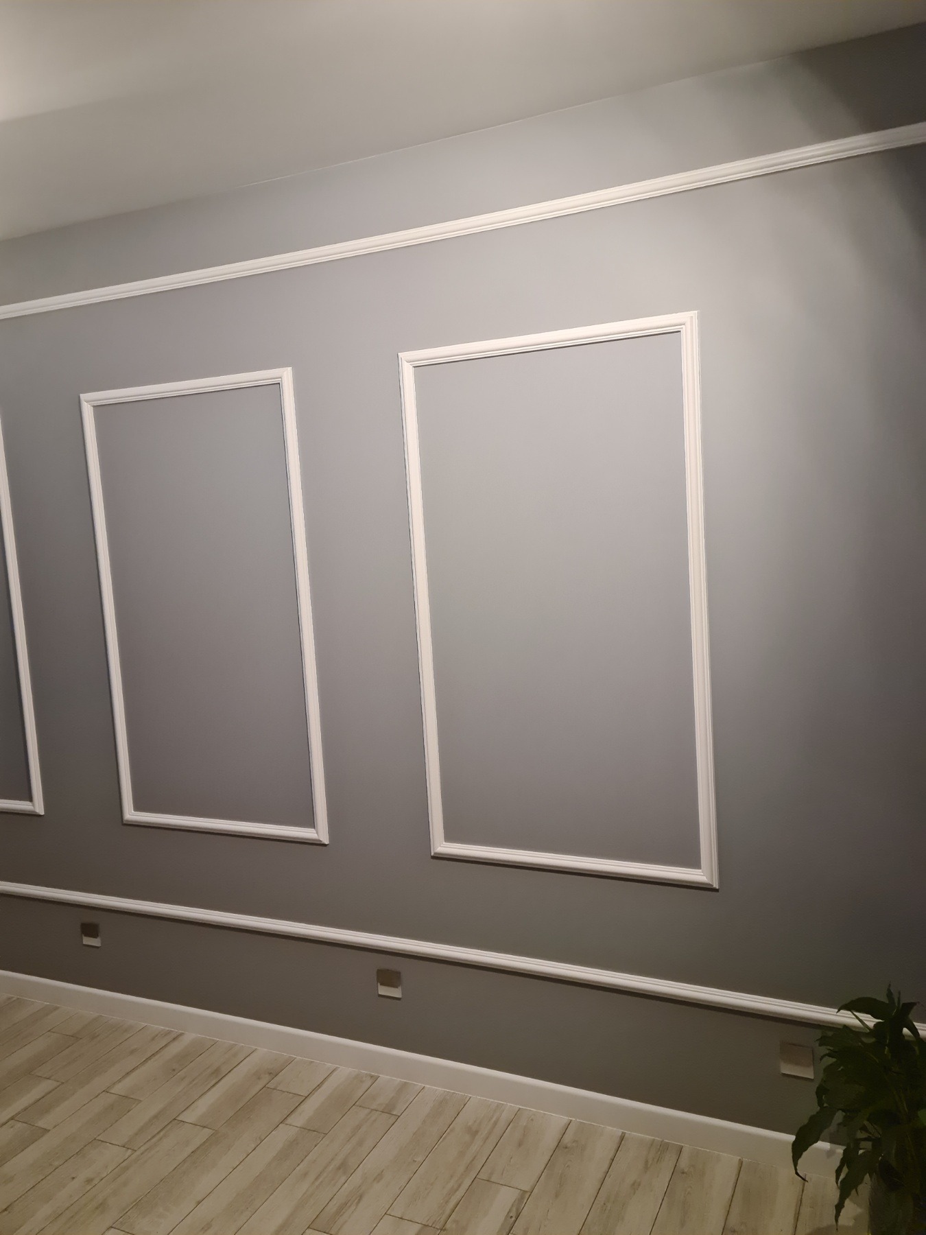 Szara ściana z białymi, dekoracyjnymi listwami tworzącymi prostokątne ramy, biała listwa przypodłogowa, drewnopodobna podłoga, fragment rośliny w rogu