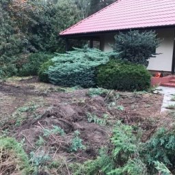 płatmar - Teren przed domem po usunięciu drzew i krzewów, widoczne pozostałości gałęzi i pni, przygotowany grunt pod nowe nasadzenia, piła łańcuchowa leży przy schodach wejściowych.