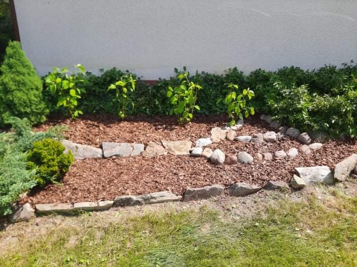 Ogród w Łowiczu po nasadzeniach, z młodymi drzewkami na korze, obrzeża z kamieni, tło stanowi ściana budynku i zielony żywopłot.