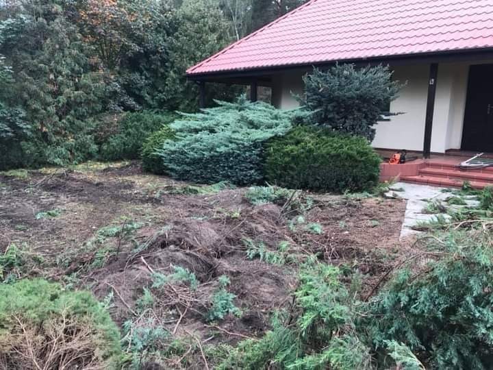 Teren przed domem po usunięciu drzew i krzewów, widoczne pozostałości gałęzi i pni, przygotowany grunt pod nowe nasadzenia, piła łańcuchowa leży przy schodach wejściowych.