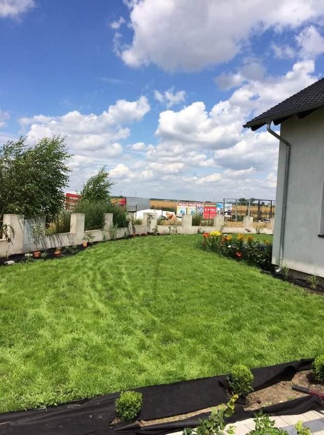 Świeżo założony trawnik z rolki w ogrodzie przydomowym, widoczne obrzeża z agrowłókniny i młode nasadzenia krzewów ozdobnych, w tle budynek i błękitne niebo z chmurami.