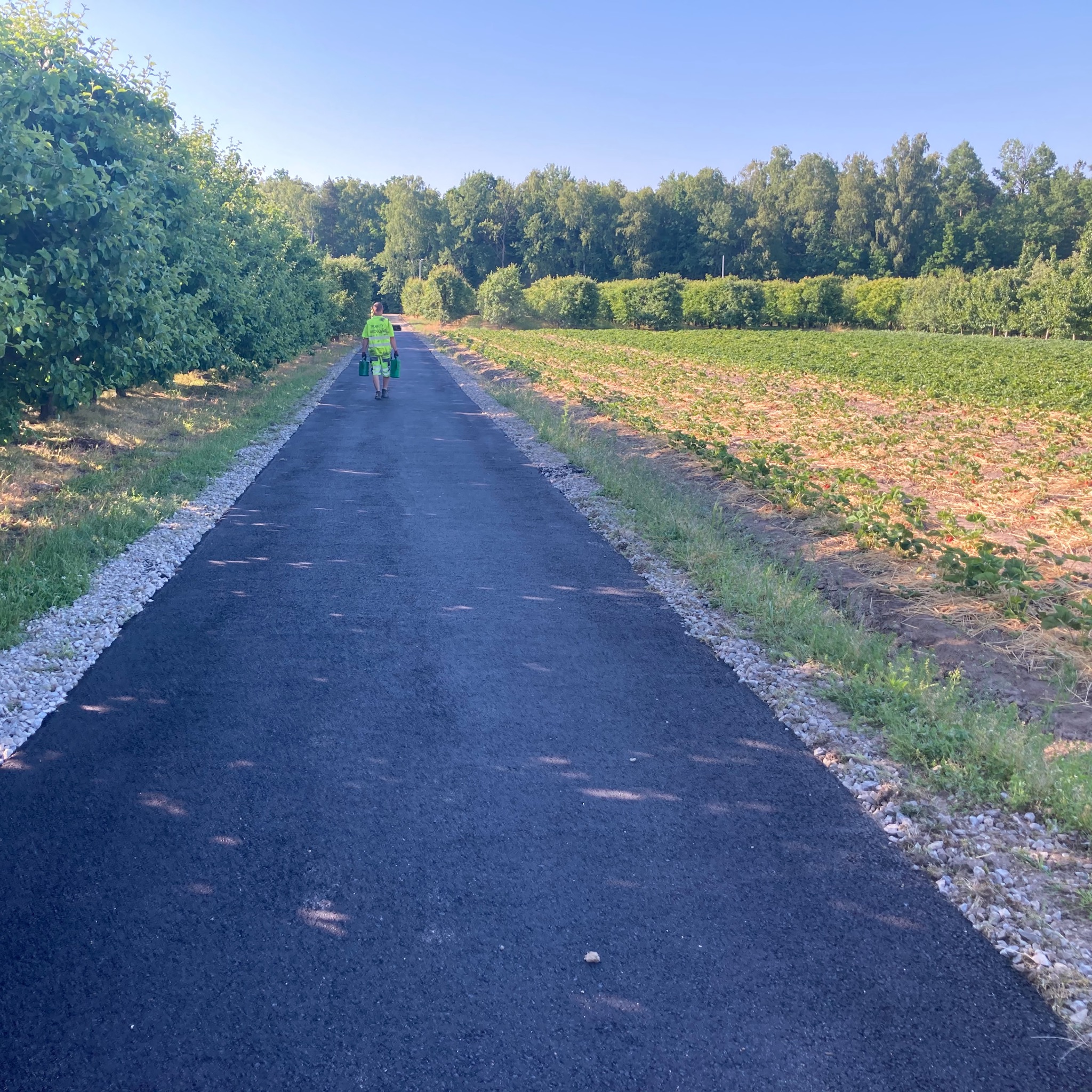 Nowa, asfaltowa droga dojazdowa, obok pola uprawnego i rzędu drzew, z pracownikiem w odblaskowej kamizelce niosącym pojemniki w oddali.