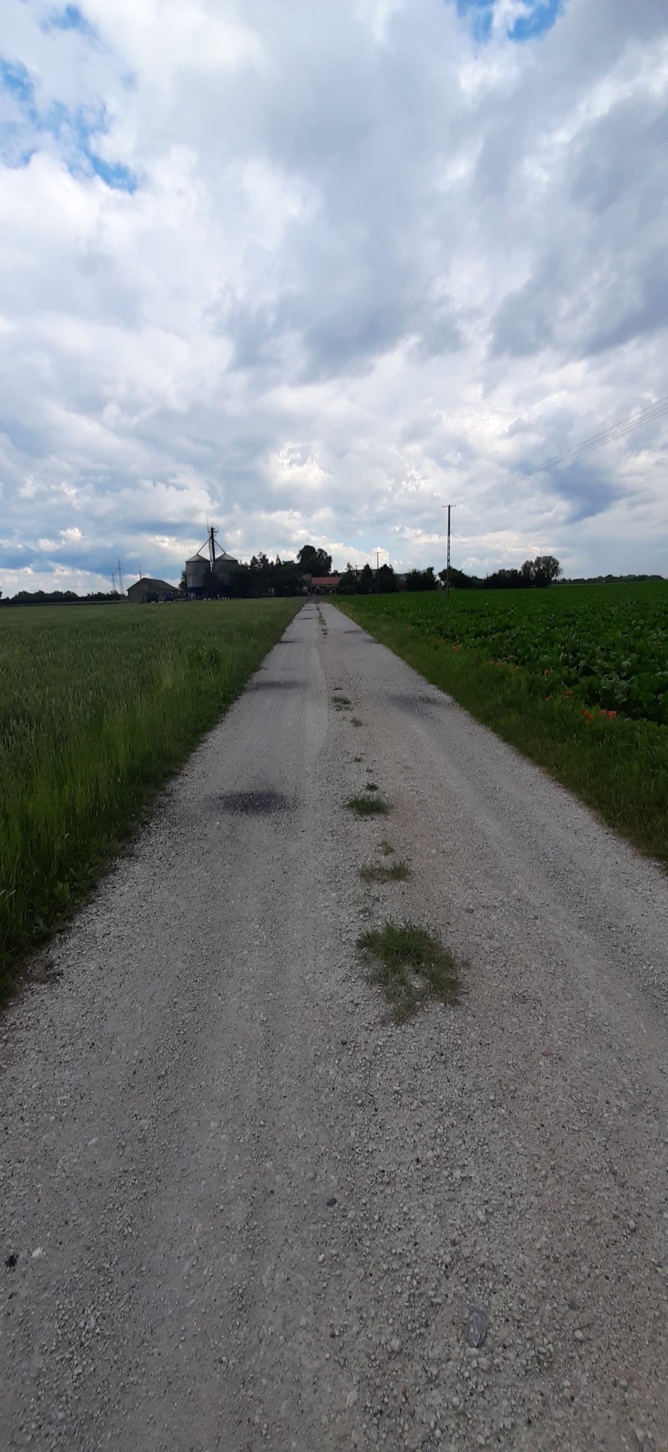 Długa, szutrowa droga polna prowadząca przez pola uprawne w kierunku zabudowań gospodarczych pod pochmurnym niebem.