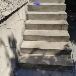 Betonowe schody zewnętrzne po renowacji, widoczne ślady świeżo położonej warstwy ochronnej, puszka z farbą i pędzel na górnym stopniu, cień drzewa na ścianie.