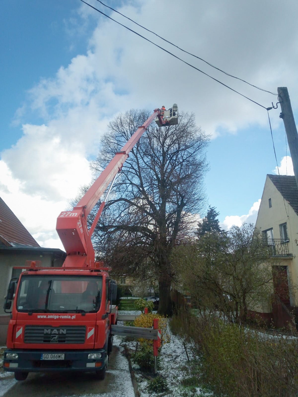 Korekta pokroju korony z użyciem podnośnika koszowego
