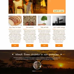 Strona dla NGO w Ghanie