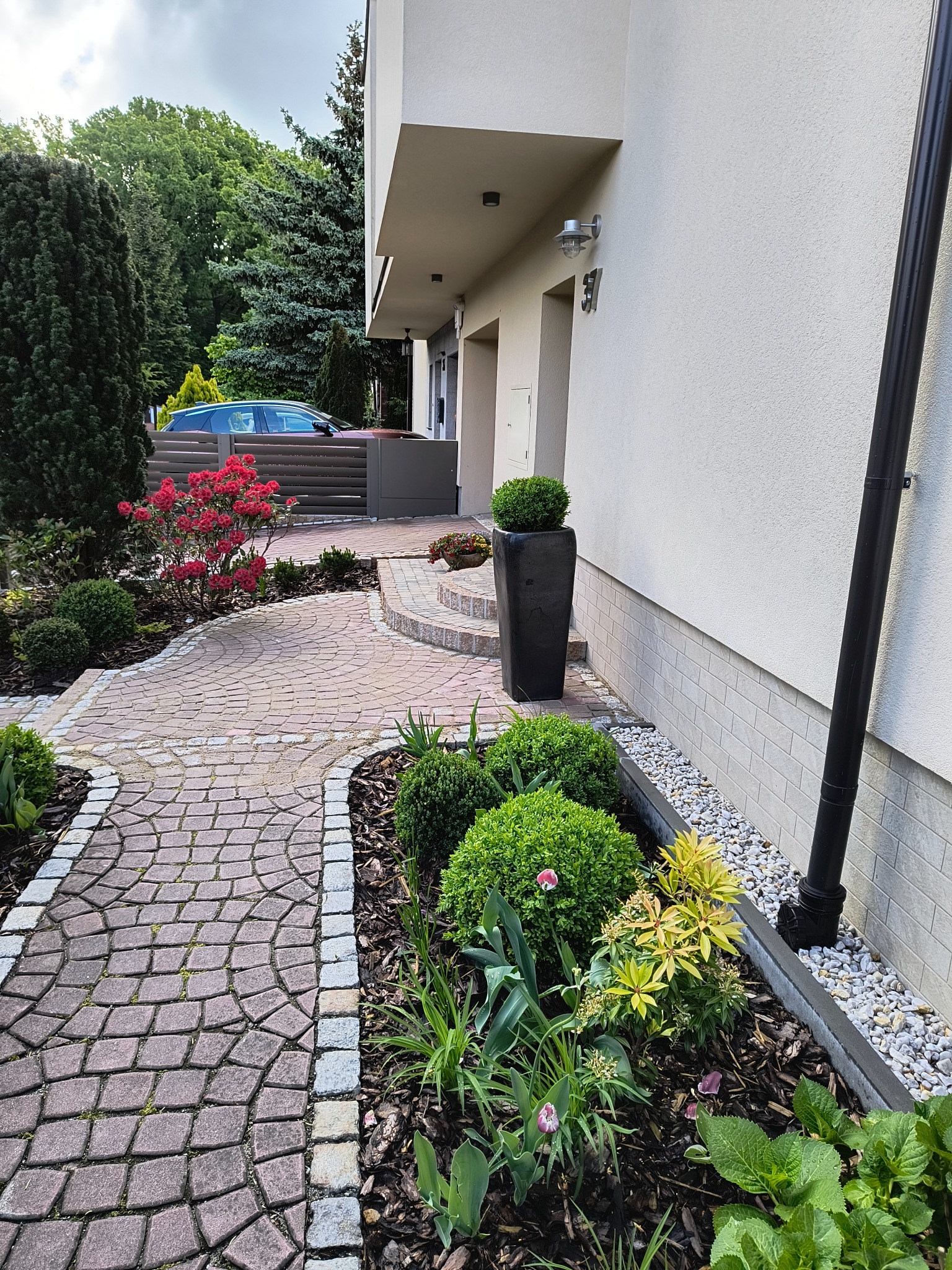 Kaskadowa ścieżka z kostki brukowej w odcieniach czerwieni, obrzeża z jasnej kostki, rabaty z roślinami ozdobnymi, nowoczesny dom z jasną elewacją. Wrocław, ul. Borówczana.