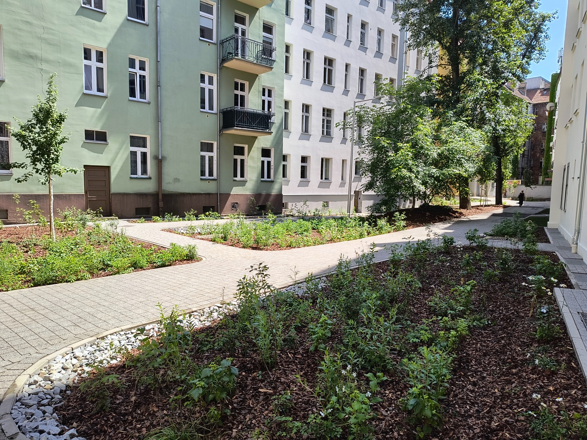 Kaskadowy chodnik z kostki brukowej w otoczeniu zieleni i kory drzewnej, na tle budynku mieszkalnego we Wrocławiu, ul. Rozbrat. Słoneczny dzień.