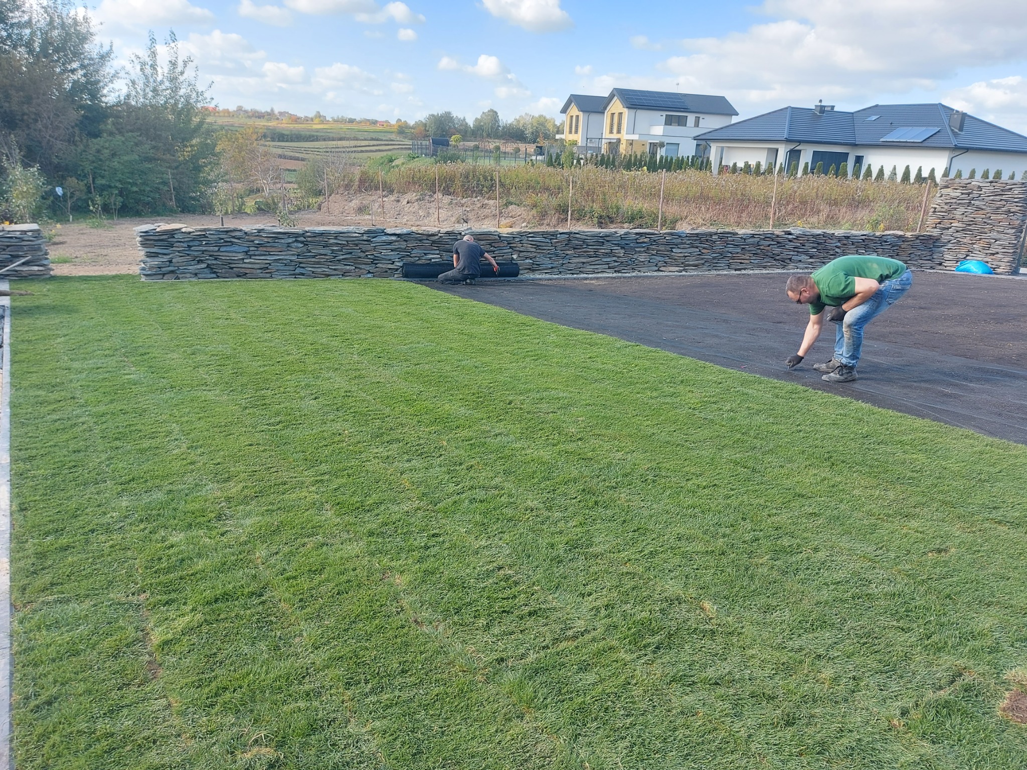 Układanie trawy z rolki na przygotowanym podłożu, widoczni dwaj pracownicy w trakcie pracy, w tle kamienny murek i zabudowa jednorodzinna.