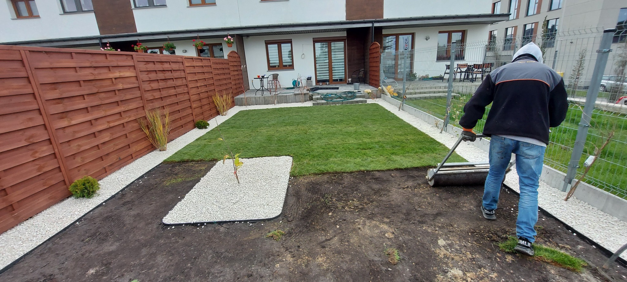 Układanie trawy z rolki w ogrodzie, wyrównywanie walcem, widoczny fragment trawnika, obrzeża z białych kamieni, drewniany płot i budynek w tle.