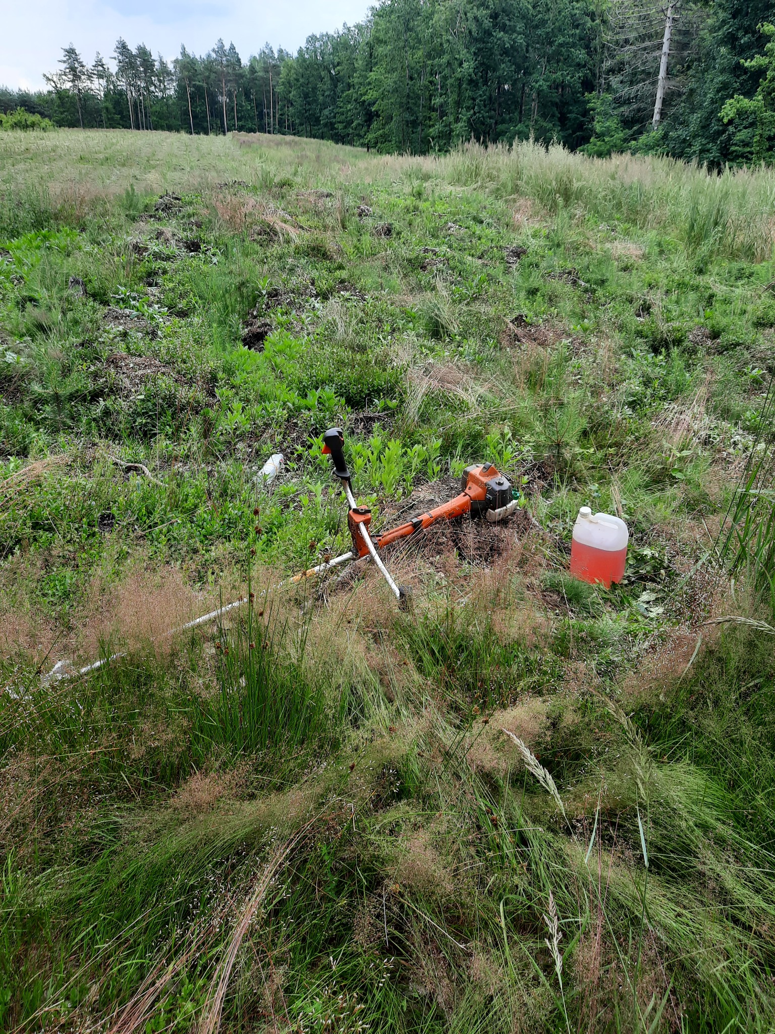 Pomarańczowa kosa spalinowa i kanister z paliwem leżą na trawie na skraju lasu po wykoszeniu traw