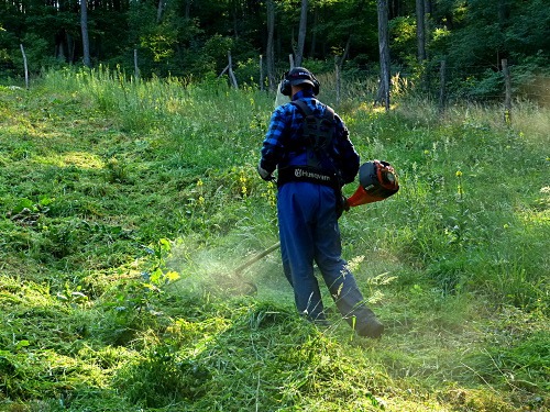 Pracownik w niebieskim kombinezonie i słuchawkach tnący wysoką trawę na zboczu wzgórza za pomocą pomarańczowej podkaszarki Husqvarna, w tle widoczne drzewa.